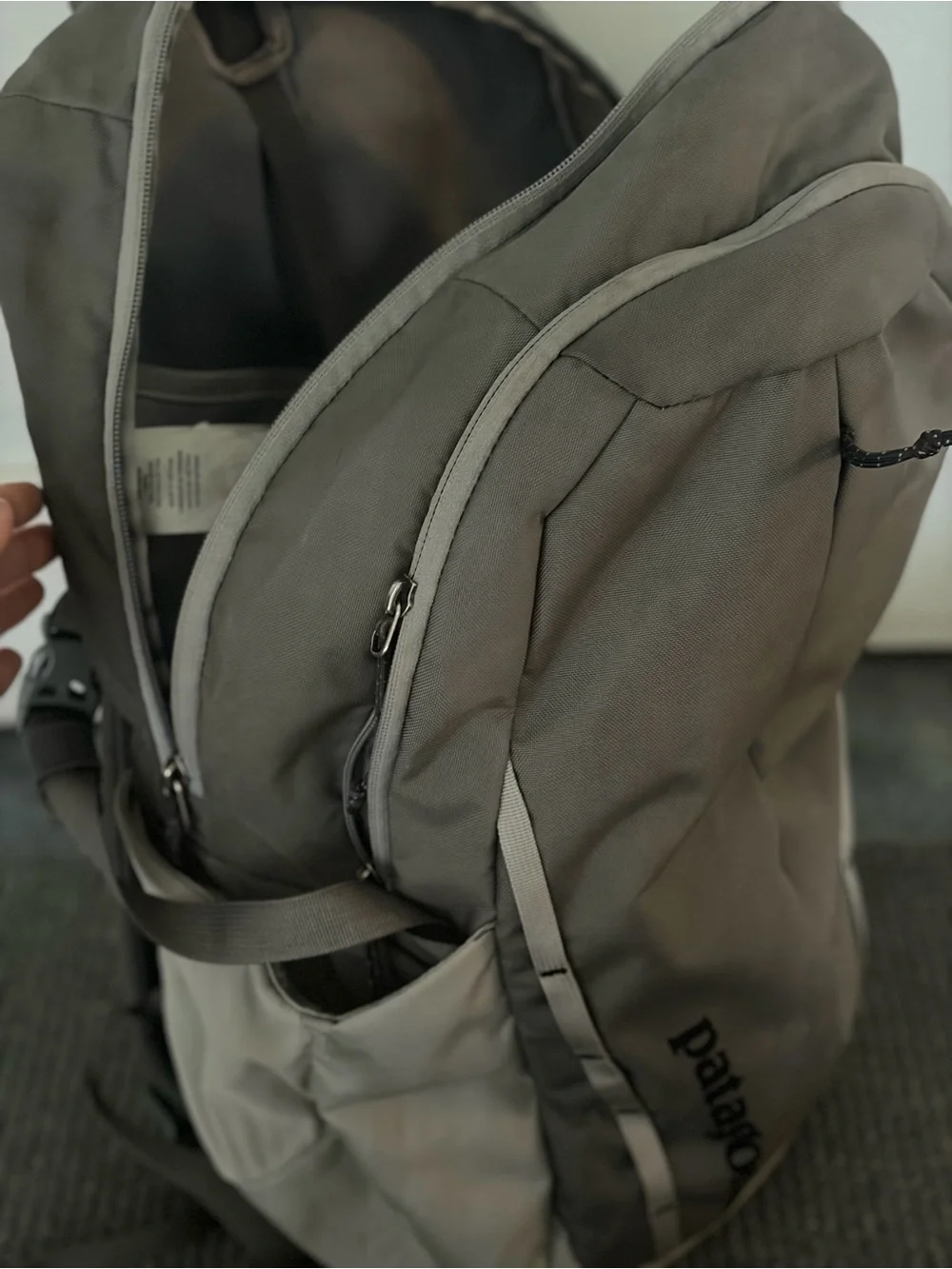 Patagonia Backpack 30L